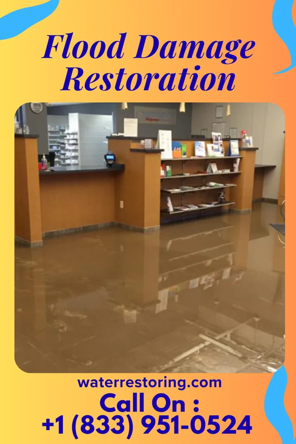 Flood Damage Restoration in Antietam, MD
