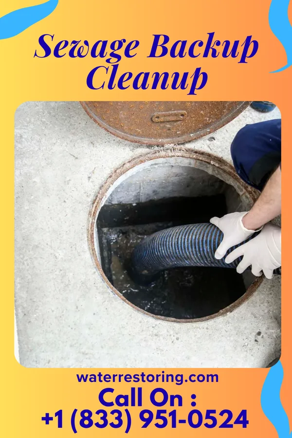 Sewage Backup Cleanup in Antietam, MD
