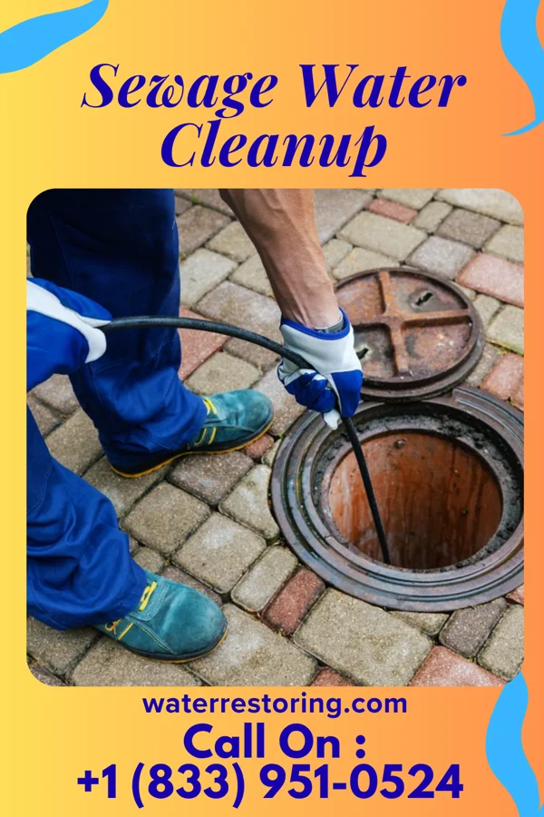 Sewage Water Cleanup in Antietam, MD