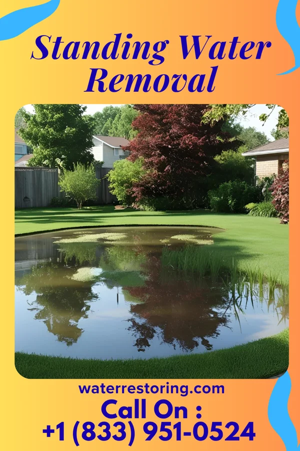 Standing Water Removal in Antietam, MD